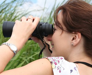 birding-binoculars-new-england-birdhouse