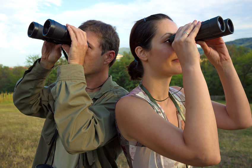 Best Bird Watching Binoculars