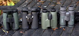 Best wildlife binoculars
